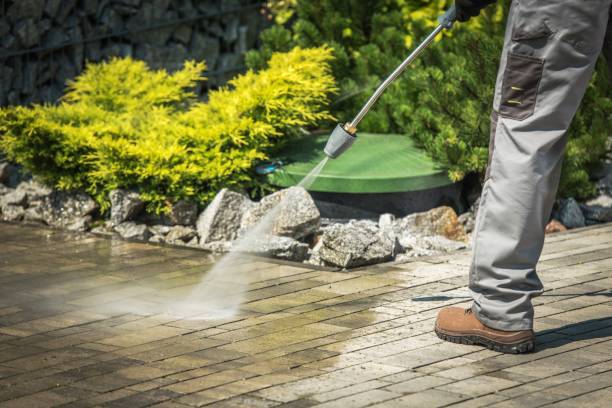 Animal Enclosure Cleaning in Goddard, KS