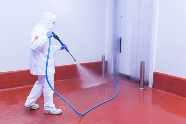 Best Pre-Holiday Cleaning  in Goddard, KS